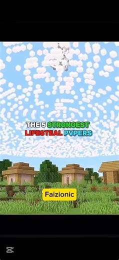 The Top 5. Best Lifesteal. Pvp........ ers