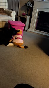 See how Barney reacts to Scar #thelionking #react #reaction | Stephen Kelleher