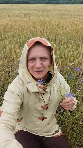 Chaber bławatek (łac. Centaurea cyanus) - uważaj gdzie zbierasz #zioła #natura #chabry | Źródła Natury - według Chmielewskiego