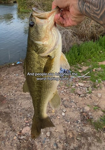Winter Bass Fishing in Arizona: A Top Experience