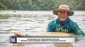 14K views · 58 reactions | There are over 600 fish species in Guyana but efforts to ensure endangered species are protected remain a challenge. Speaking at a forum at the University of Guyana, Randy Bumbury, a Fisheries Officer at the Ministry of Agriculture, disclosed that there are challenges with protecting endangered fish. He also said the matter of microplastics remains a constant battle. | News Room | Facebook