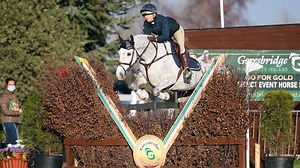 £45,000 top price as sales strong at Goresbridge - Horse & Hound