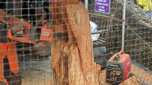 Our last two posts from the weekend's Moffat Golden Eagle Festival show a chainsaw carving demonstration from award-winning chainsaw artist and Moffat local Pete Bowsher. This post features a video which lets you see, close-up, action views of the wonderful skill involved in this work. There is a separate post with stills of him at work. You may not have realised that Pete is Sam Bowsher's Dad. | Visit Moffat
