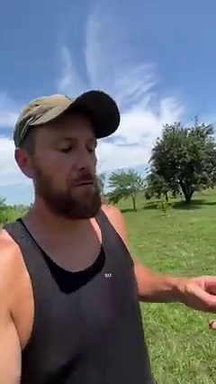 75K views · 2.4K reactions | Catching Japanese Beetles by the thousands… Every year we deal with Japanese Beetles showing up and killing our fruit trees and garden, so we thought it's time to catch them to get rid of them. | White House on the Hill | Facebook