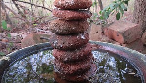 The Effect of Pottery Shards in Terra Preta | The Survival Gardener