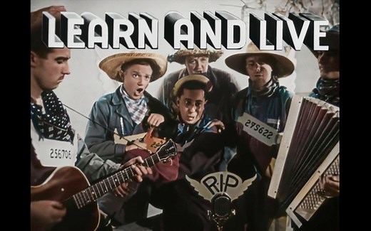 【中英双字】阴间飞行员教你花式坠机 (Learn and Live-1943)