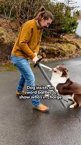 This dog does not go lightly with her sword ⚔️😂 Anna & Luke explain how Pinto Bean got very into sword fighting, but how at the end of the day, she's actually a huge baby ❤️ En garde ⚔️ and follow Misty Mountain Legends on Instagram for more dramatic sword fights and cuddly warriors: thedo.do/mistymountainlegends and on Facebook: https://thedo.do/MistyMountainlegends | The Dodo
