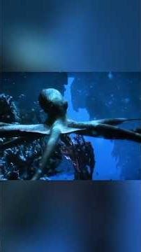 Aztec Death Whistle Mystery #shorts