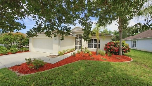 15 Best Shade Trees for Florida To Improve Your Landscape