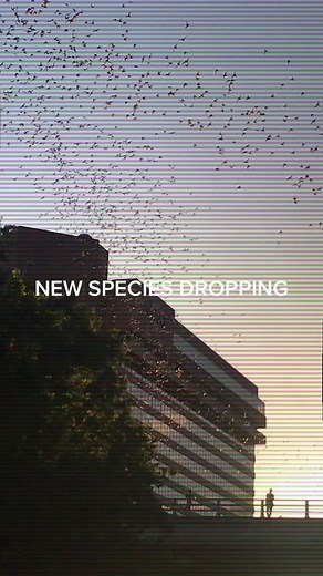 GET READY FOR ANIMAL HISTORY