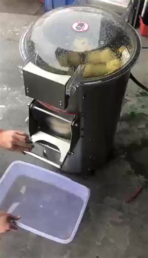 Potato Peeling Machine Professional Peeling and Cutting Equipment for Commercial Potato Peeler and Cutter