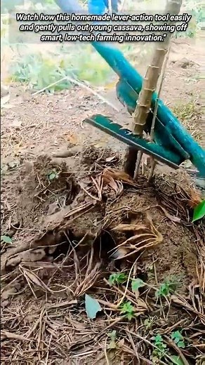 Easily Pull Out Younger Plants With a Simple DIY Tool