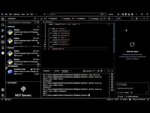 Harry Potter And Python Combined