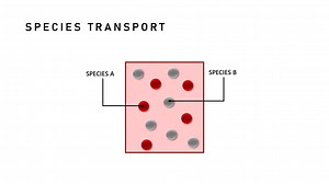 Species Transport Using Ansys Fluent: What, How and Why? | Tips & Tricks