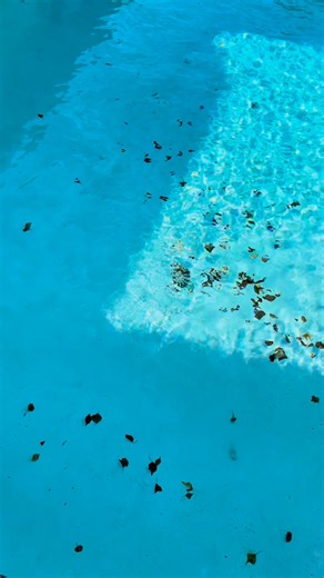 #poolcleaning #poolside #poolservice #poolmaintenance #nasplashpools | Flash Christopher Felton | Facebook