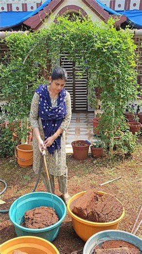 cocopeat pre preparation for soil mix #tamil #garden #home