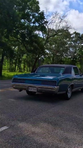 POV: You pass a classic GTO… and Grandma waves 👋🔥HRTOT