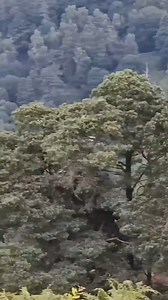 10K views · 582 reactions | F-35 flying the valleys | Jet Fighter Ride | Facebook