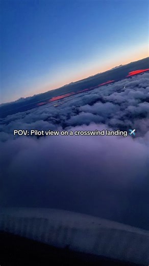 Crosswind Landing: Pilot's POV | Aviation Explained