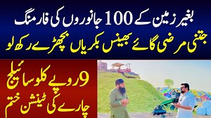 2.7M views · 44K reactions | How To run sailage business and Get more profit #SailageBusiness #Sailage | Sada Sohna Des Punjab | Facebook