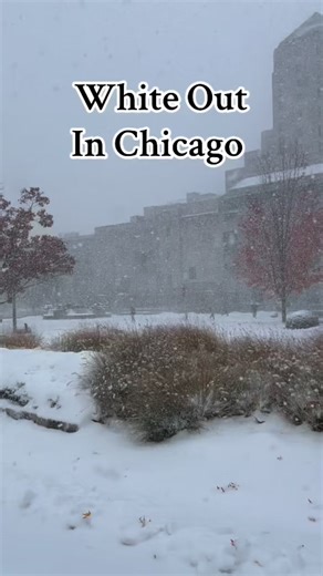 98K views · 1.3K reactions | WHITE OUR CONDITIONS in Chicago! ❄️A report from corespondent Logan Mansfield in Chicago showing the Lake Effect snow band as well as Lake Michigan! Extremly hazardous driving conditions are being felt across the city as a heavy band sets up shop. DRIVE CAREFULLY if you must go out during the event. There will be slipppery roads and low visibility. Make sure to have your lights on! #Winter #Chicago #Snow #SnowStorm #Cold | rainy.day.weather | Facebook