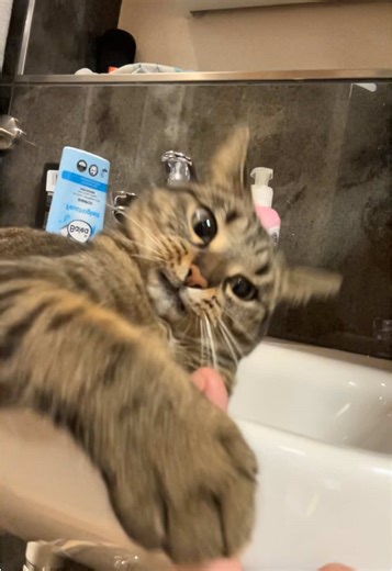 Skibidi Toilet and Fortnite Collaboration Explained