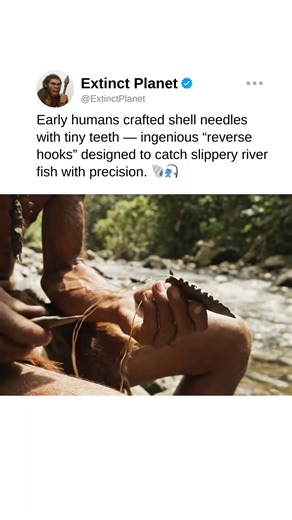 Early fishhooks were toothed shell needles! 🐚🎣 #prehistory #prehistoriclife