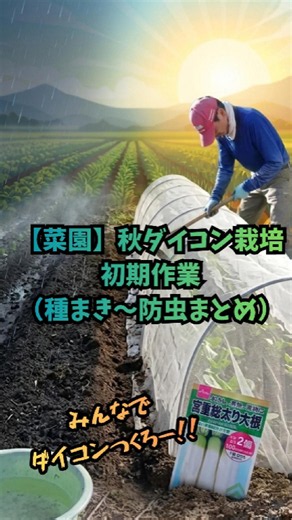 【菜園】秋ダイコン栽培初期作業（種まき～防虫まとめ）