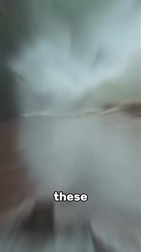 62K views · 885 reactions | Here are five animals that seem improbable yet exist in reality. #lifestyle #facts #wildanimals #about #animals #nature #wildlife | Most strange animals | Facebook