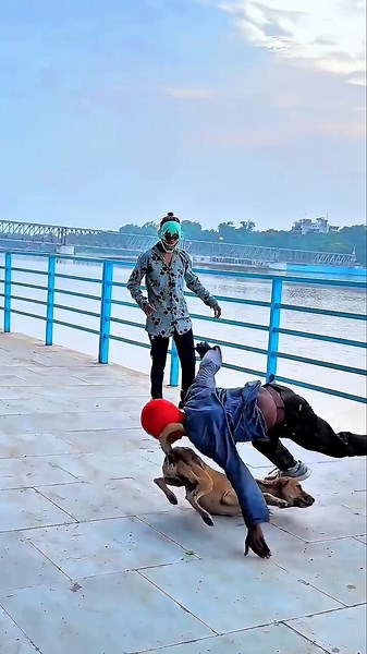 🐶🤸‍♂️ Dog Performs an Amazing Flip!Dogs truly are our best friends ❤️🐕Their loyalty love and playful