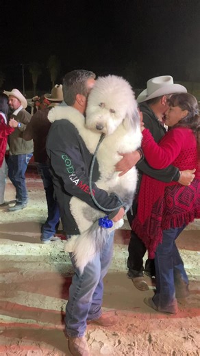 4.2M views · 143K reactions | Cuando al Firualis le gustan las de los tigres del norte. | videoedwin | Facebook