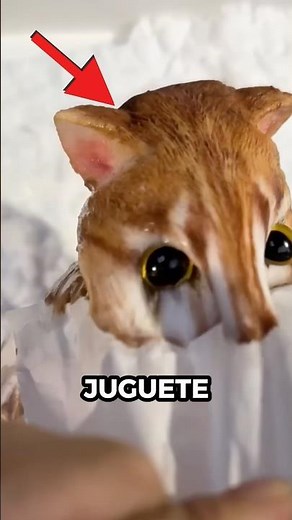 The trick to making this sticky toy look real 😱🐱
