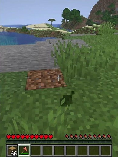 How many Logs Do I Have? ⁉️ #minecraft #shorts