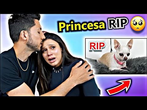 Princesa Passed Away Moment 🥺 RIP! | The Royalty Family Spotlight