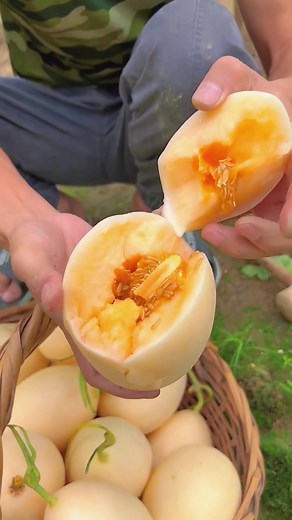 Fruits🍏🍐🍊🍓🍒🥝🥑 (@fruits_lovers_)’s videos with 原聲 - Fruits Love🍉🍒🥝🥥