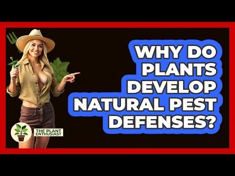 Why Do Plants Develop Natural Pest Defenses? - The Plant Enthusiast