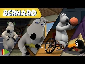 Bernard Bear | Wheelchair Basketball AND MORE | 30 min Compilation | Cartoons for KIDS