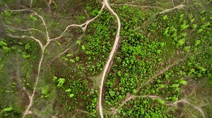 Aerial view of landscape with forested and deforested area in the mountains. Deforestation, logging, environmental destruction.
