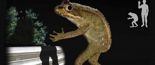 The Strange Case of the Loveland Frog, Ohio's Amphibian Cryptid