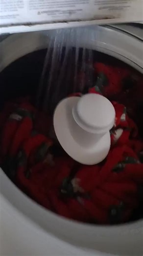 Hannah Eaves (@hannaheaves1995)’s videos with original sound - Angela Rose | DIY & Design