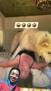 This dog is enjoying🤣🤣 | Emma StOne