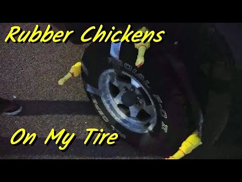 Rubber Chickens on Tire | squeaky Toys on Tire