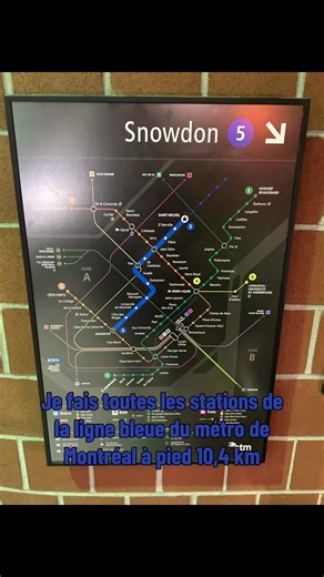 Je fais toutes les stations de la ligne bleue de Montréal à pied #montreal #metro