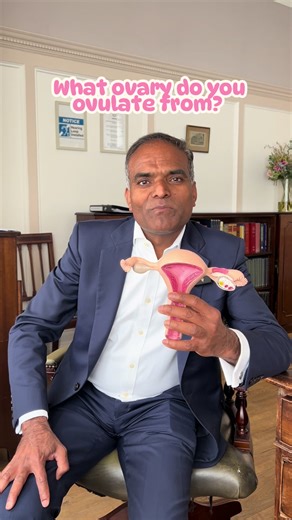 Understanding Multiple Ovulation from One Ovary