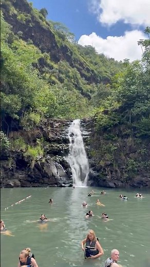 Swimming at Waimea Falls, Oahu 🌴💦 #waterfall #hawaii #fyp #explore #travel #views #2026 #viral