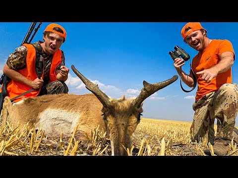 ANTELOPE HUNTING with a DECOY (Spot & Stalk)