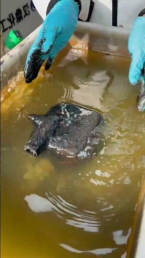 Degreasing and cleaning #Metal surface treatment