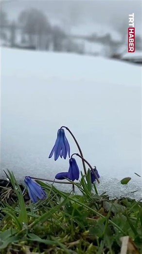 ❄️ Trabzon, Ordu, Artvin ve Bayburt'un yüksek kesimlerinde kar yağdı