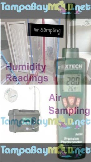 Davis Islands Mold Inspections 813-358-4766 TampaBayMold.net