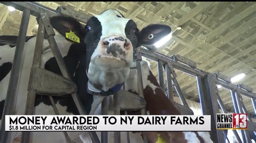 Grant gives NY dairy farms millions of dollars